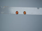 Amber stud earring Silver 925