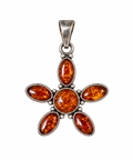 Amber Seastar Pendant