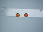 Amber stud earring Silver 925